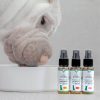 Calming CBD Oil for Dogs – BOTACALM™ - Image 2
