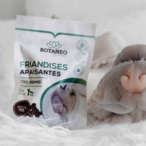 Alternative view of Soothing CBD Treats for Dogs – BOTALICIOUS™