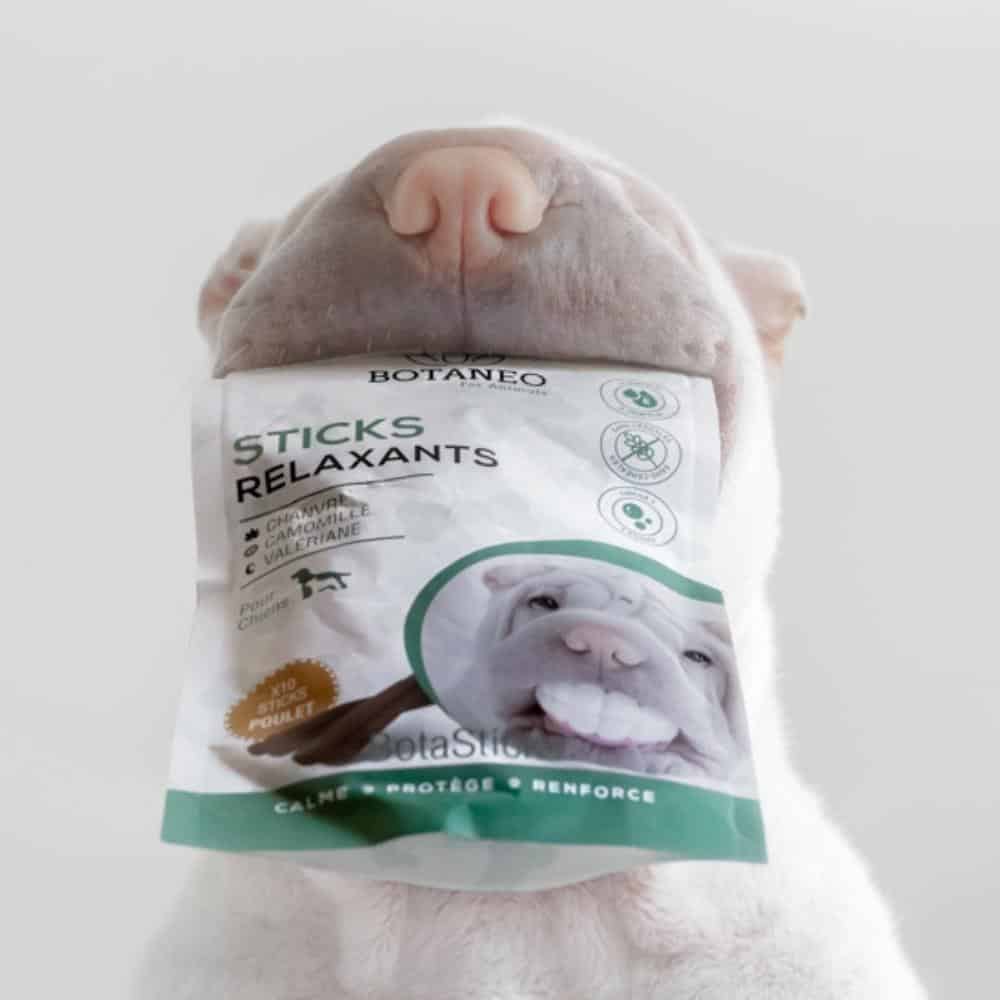Relaxing Sticks for Dogs – BOTASTICKS™ - Image 2