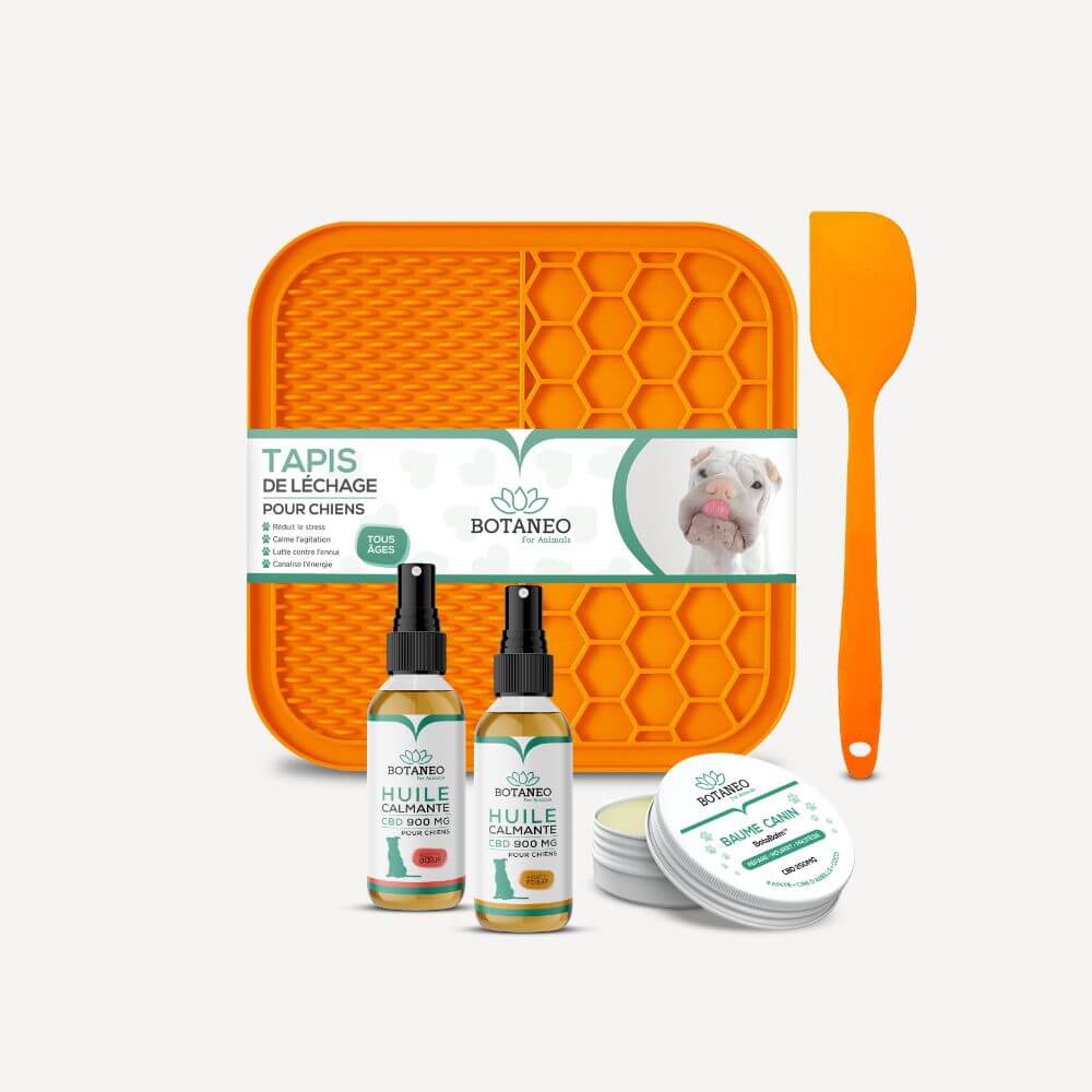 CBD Pack for Dogs – FULL