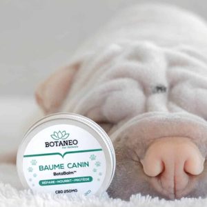 Alternative view of Nourishing CBD Balm for Dogs – BOTABALM™