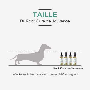 Alternative view of CBD Pack for Dogs – YOUTH CURE